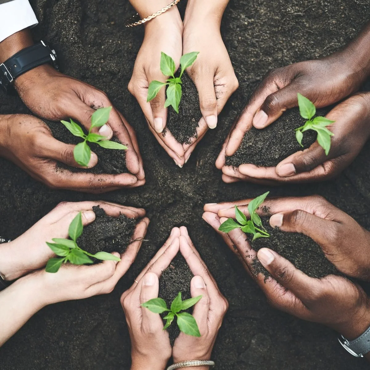 Tanahmula background